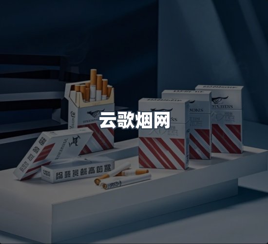 关于云歌烟网